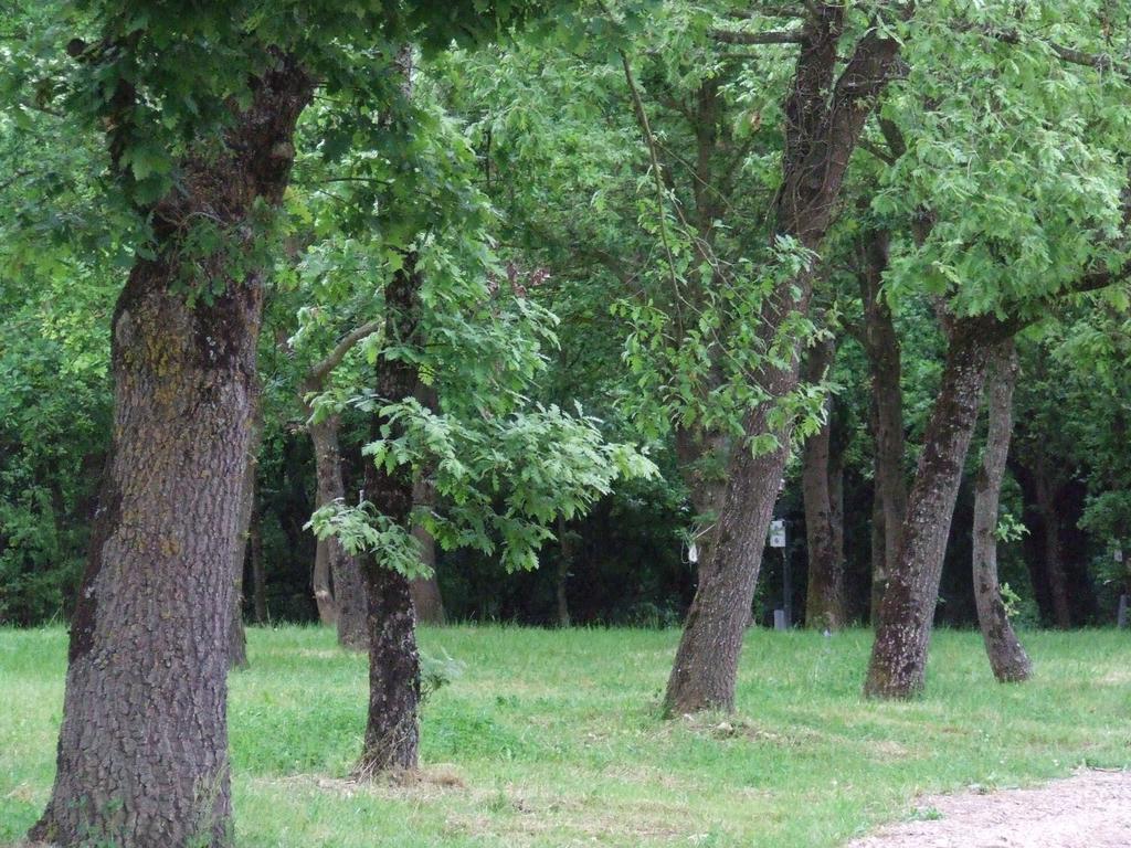 Camping Vila De Sarria Eksteriør bilde